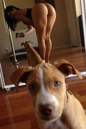 PINNED BY MALOGRADAZO