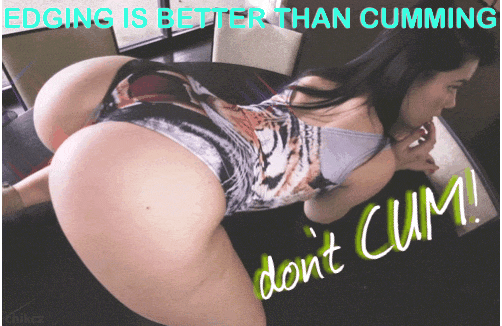 cuck 346