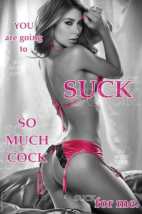 cuck 463