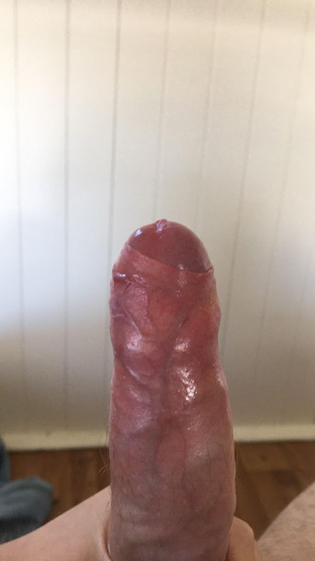 Uncut and veiny cock