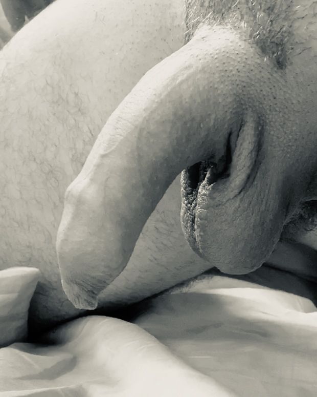 The perfect cock