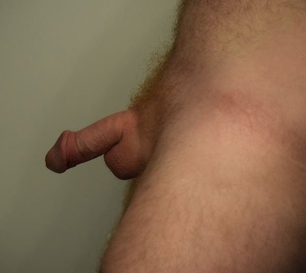 SMC33..Ginger Lovers?