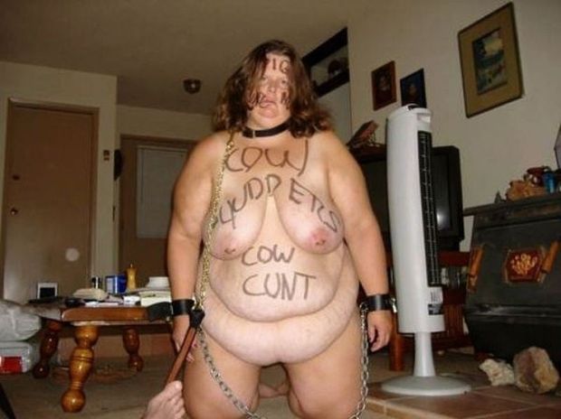 Chained Cow