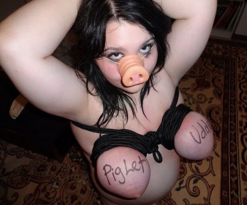 cute piglet