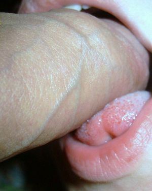 wife's best friend loves sucking my cock