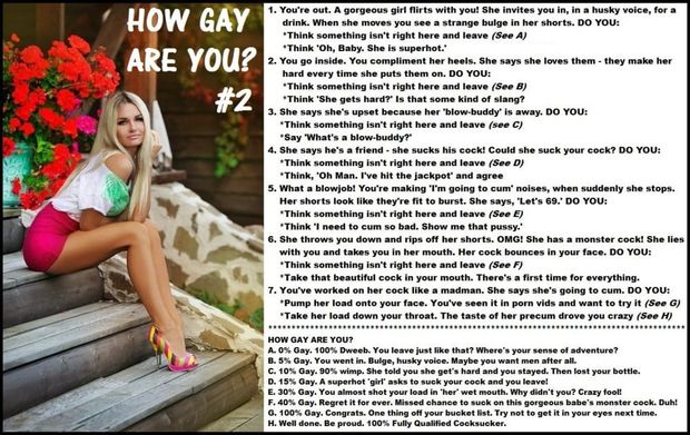 quiz