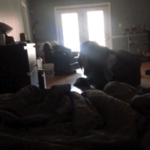 Morning monster wood