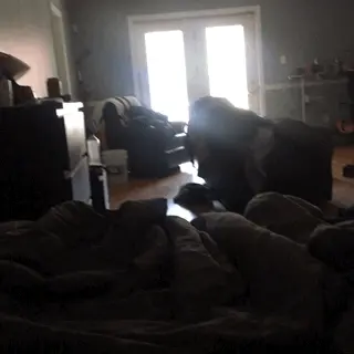 Morning monster wood