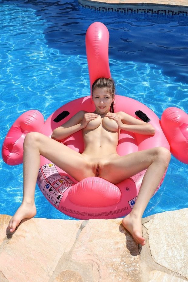 Floating flamingo