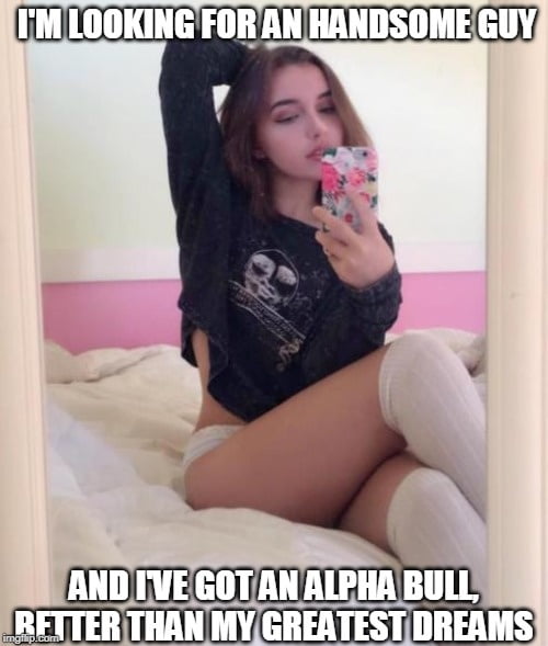 alpha male