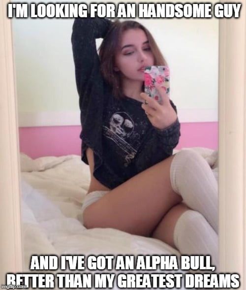 alpha male