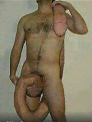 Zain96 Picture