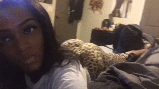 Shaking that ass