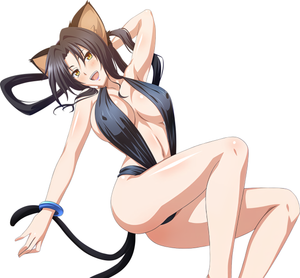 Kuroka ask you to join her in pool