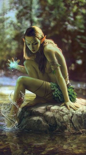 The Elf and the Water Spirit