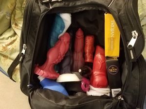 Sissy is packed and ready for vacation