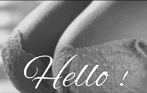 приветственное выступление = welcoming performance