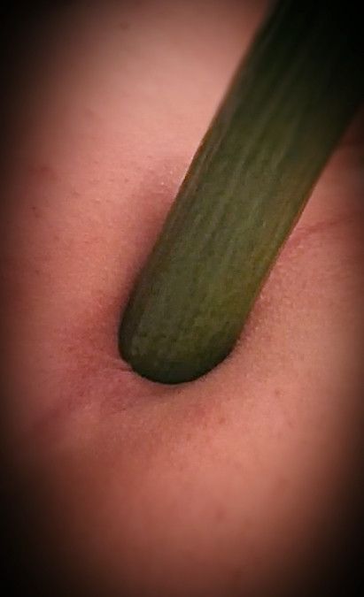 English cucumber anal