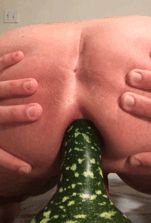 Gourd anal gif