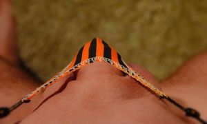 Black & Orange Stripes