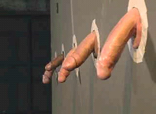 5 dicks