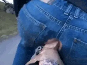 best bike in town