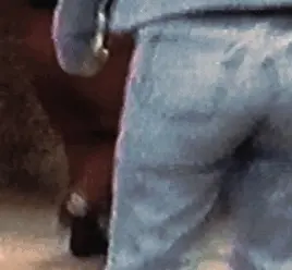 Cute Little Jeans Ass Shakin’ It