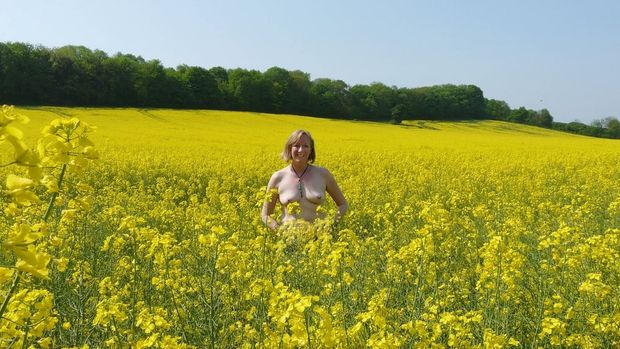 In a field