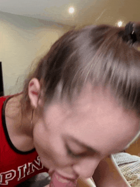Swallow gifs