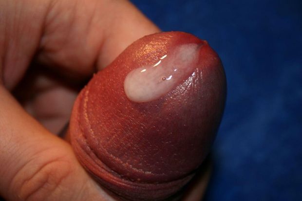 drop of cum on cockhead