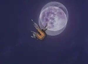 horny anime