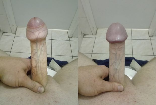 veiny uncut cock with mushroom cockhead