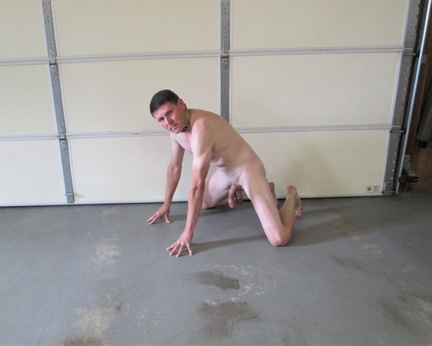 slave pup dog on all fours
