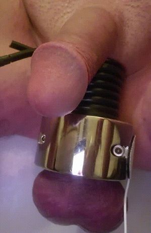 Small Penis electro CBT