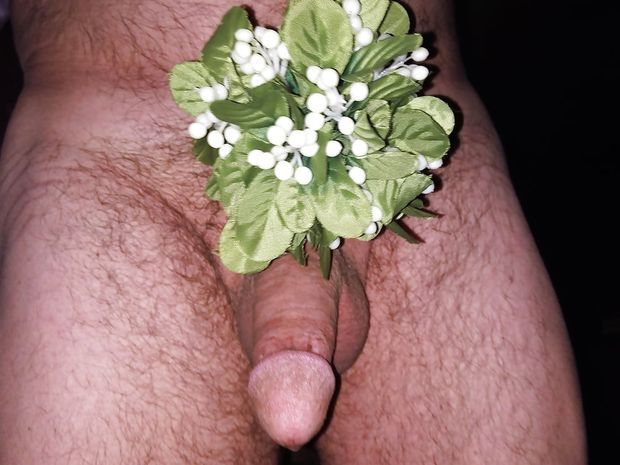 Kisses under the mistletoe?