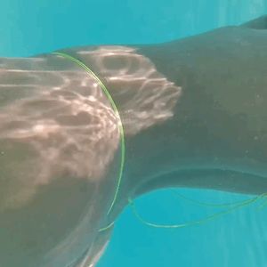 Hot Latina shows off sexy bikini body underwater