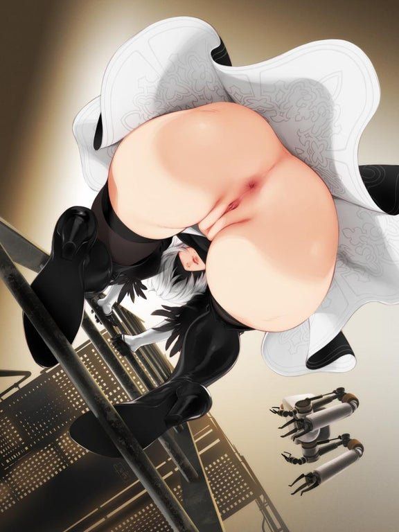 2B Nier Upskirt