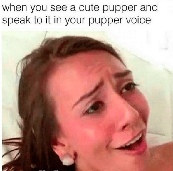 memes