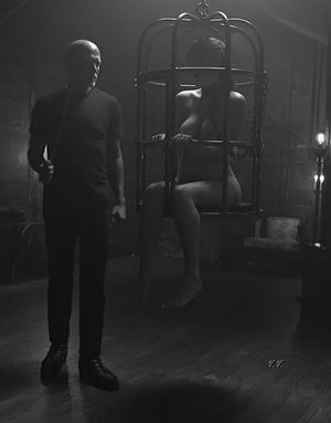 I'm a bird, I'm a, I'm a, I'm a bird