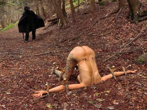 Lesní nadržená houba