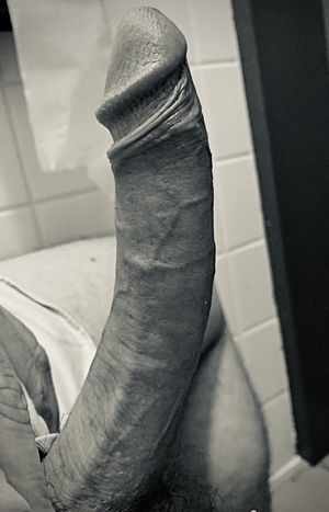 sex com > He loves to be sucked