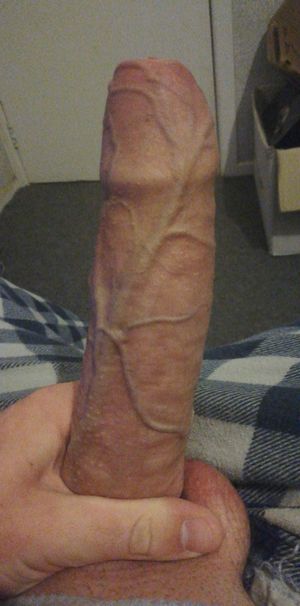 Uncut and veiny cock