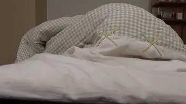 undercover agent