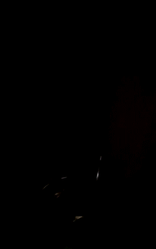 I walk into my room to see my black bully pounding mommas pussy on my bed