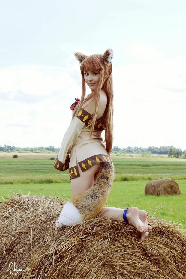 Cute little fox