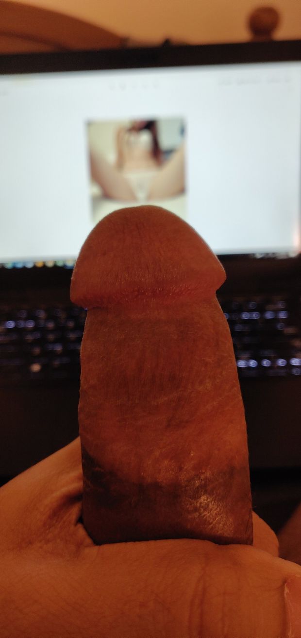 @Daisy3 Tribute