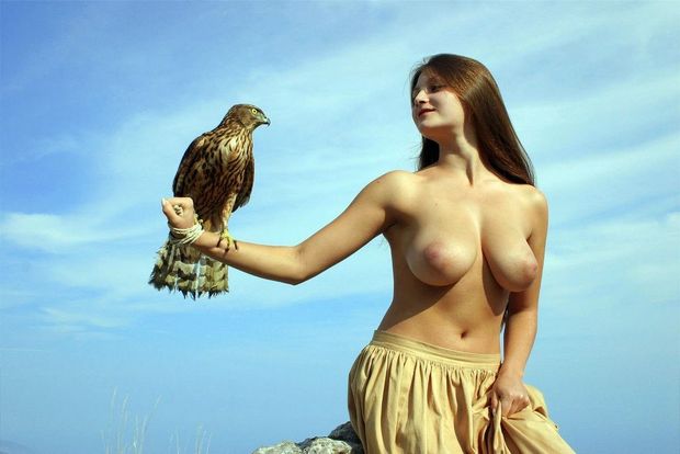 Majestic bird