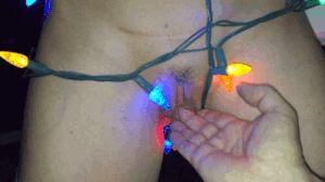 christmas pussy lights