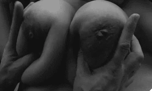 knead them