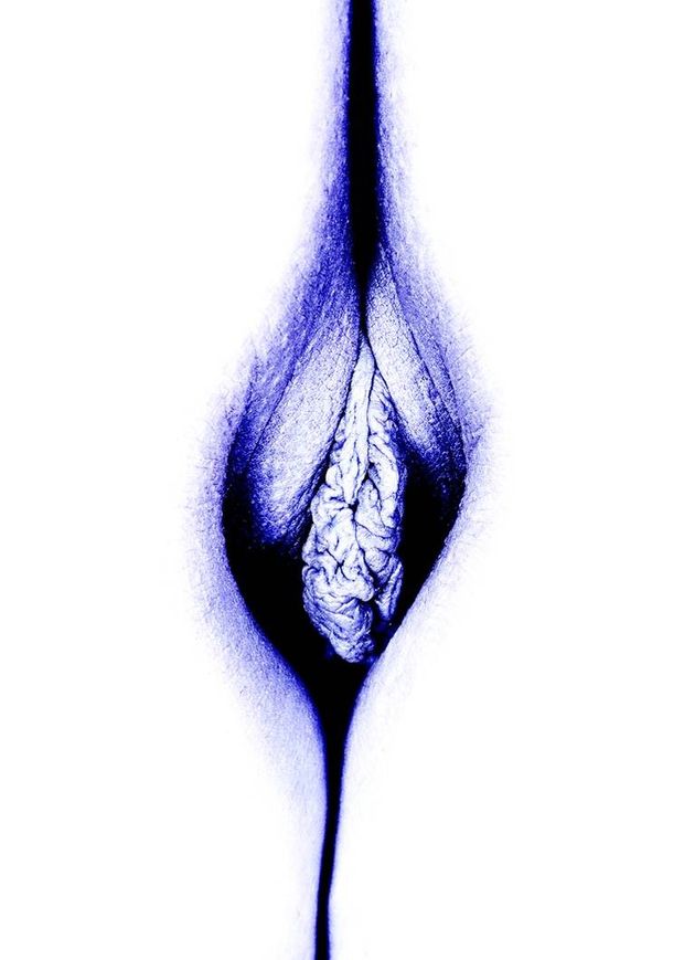 pussy in blue